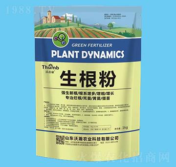 ������-������-����r(n��ng)�I(y��)