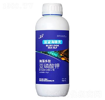 海藻多肽亞磷酸鉀-藍望海精靈-藻之藍