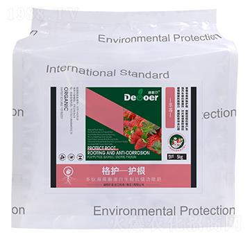 ���o-�o������ݮ��-�ϸ�