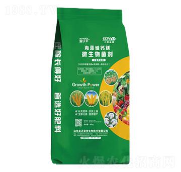 40kg΢�������-������}�V-�����S-�����_����