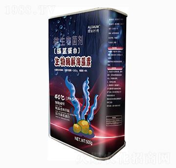 ����ø�⺣����-���{����-����Ӌ1̖-��˹�r(n��ng)