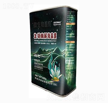 ����ø�⺣����-���{����-ǧ�~��400��-��˹�r(n��ng)