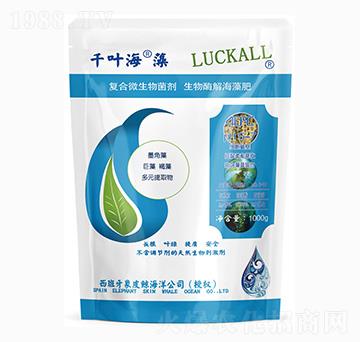 �ͺ�΢�������-ǧ�~����-��˹�r(n��ng)