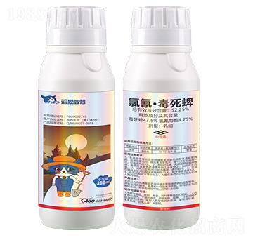 52.25%���衤����������-�{؈�ǻ�