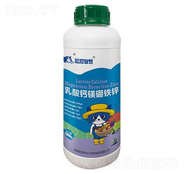 �����}�V���F�\-�{(l��n)؈�ǻ�