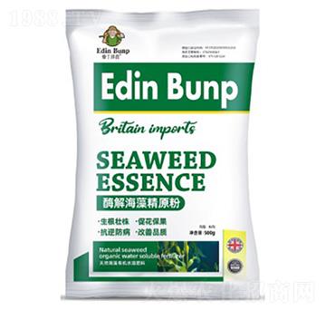 ø�⺣�徫ԭ��-�۶�����