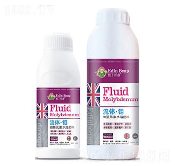 ���w���f-�۶�����