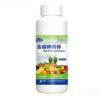 ������}�\��500g��-����-�sҫ�r(n��ng)�I(y��)