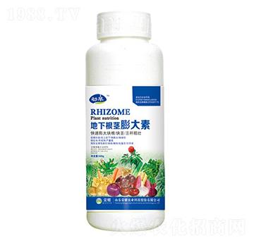 ���¸��o����أ�500g��-����-�sҫ�r(n��ng)�I(y��)