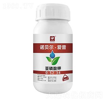 �������0-52-34-�Zؐ��������-�Zؐ��