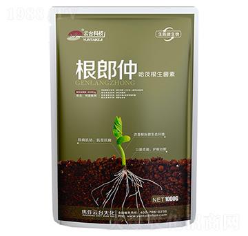 哈茨根生菌素-根郎仲-云臺大化