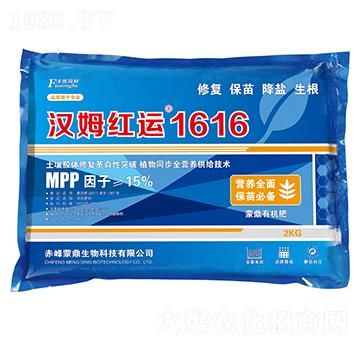 漢姆紅運1616-和潤農(nóng)業(yè)