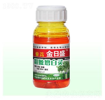 藜蒿粗嫩增白靈-金日盛-富源祥肥業(yè)