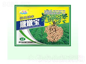 花生矮豐墩墩寶-金日盛-富源祥肥業(yè)