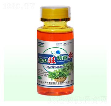 薯尖旺藜蒿壯-富源祥肥業(yè)