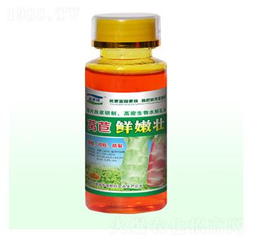 萵苣鮮嫩壯-富源祥肥業(yè)