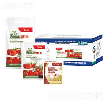 Ě���������t��-嫰�����