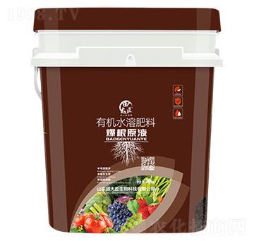 有機水溶肥料-爆根原液-田大匠