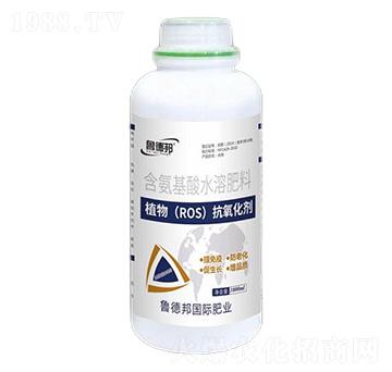 植物（ROS）抗氧化劑-魯?shù)掳? />
                                </div>
                            </div>
                            
                            <style type=