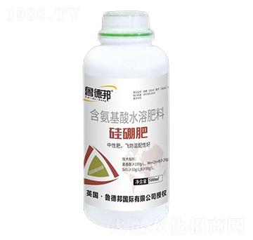 ��������ˮ�ܷ���-�����-���°�