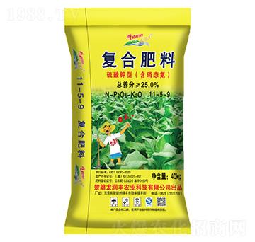 ������͏�(f��)�Ϸ�11-5