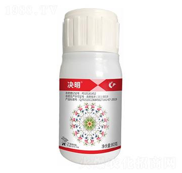 24%���x(ch��ng)��������-�Q��-����¡����