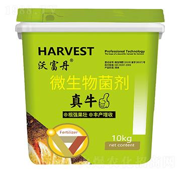 微生物菌劑-真牛-沃富丹-田思雨農業(yè)