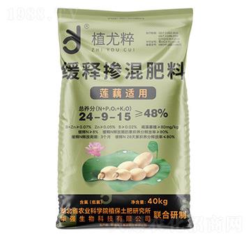 蓮藕適用緩釋摻混肥料24-9-15-植尤粹-華強化工集團