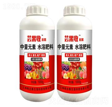 棗樹?；ū９?蕓果收-農(nóng)哥農(nóng)業(yè)