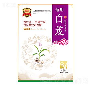 白芨中藥材除草方案-苗豐樂-苗樂康農(nóng)業(yè)