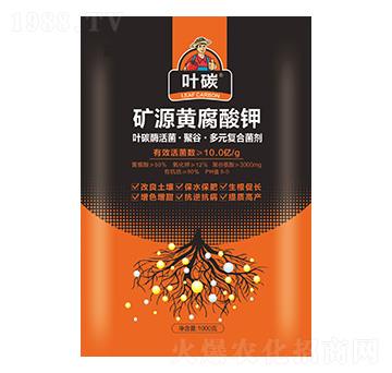 �VԴ�S�����-�~̼-��