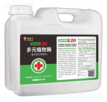 ��Ԫֲ��ø-ֲ�Ｑ��1