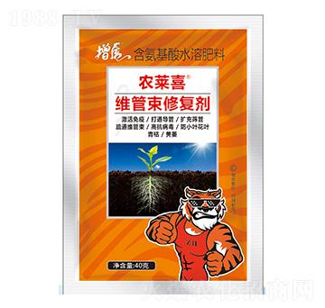 �S�����ޏ̈́�-�r(n��ng)�Rϲ-���A�r(n��ng)�I(y��)