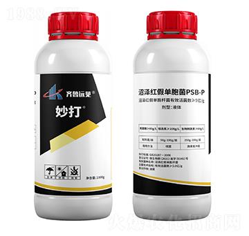 �~��I(y��ng)�B(y��ng)��ʩ�ط�-���-�G������