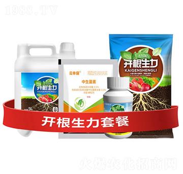 開根生力套餐G-云大科技