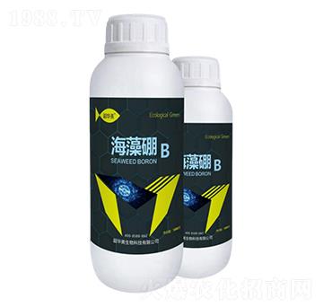 ������-���A��