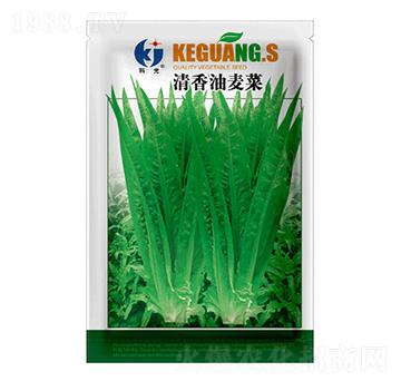 ����������-�ƹ�N��