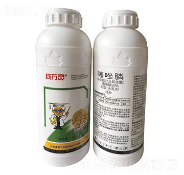 20%�����-���f�`-��������