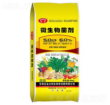 ΢�����������(n��i)�����S���ػ��|(zh��)�����T�����ᣩ-����-��̫�