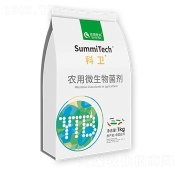 �r��΢�������-���l(w��i)-