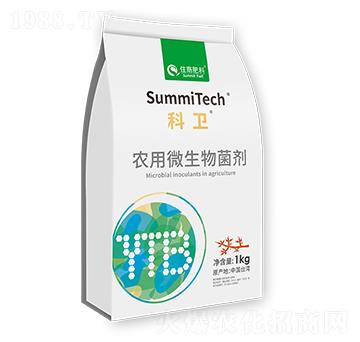 �r��΢������������wľ