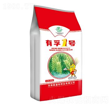 有孚1號-小麥種子-紅太陽
