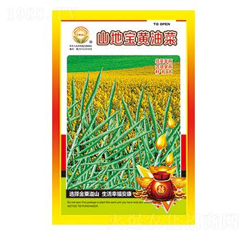 油菜種子-山地寶黃油菜-太樂種業(yè)