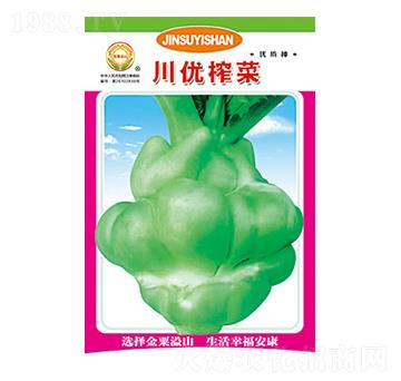 榨菜種子-川優(yōu)榨菜-太樂(lè)種業(yè)