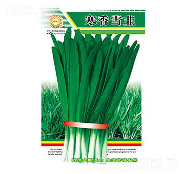 韭菜種子-寒香雪韭-太樂種業(yè)