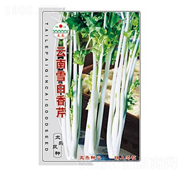 ����ѩ������-̫���N�I(y��)