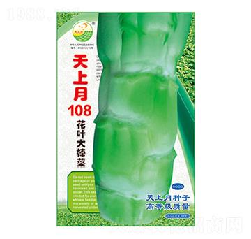 棒菜種子-天上月108-太樂種業(yè)