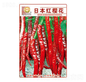 辣椒種子-日本紅櫻花-太樂(lè)種業(yè)