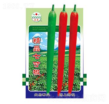 辣椒種子-精品七寸椒-太樂(lè)種業(yè)