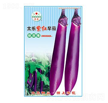 茄子種子-太樂紫紅早茄-太樂種業(yè)
